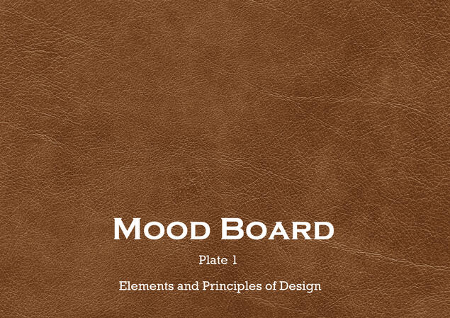 PLATE 1A - Photoshop